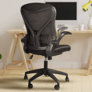 Ergonomic Office Chair, Adjustable Lumbar Support