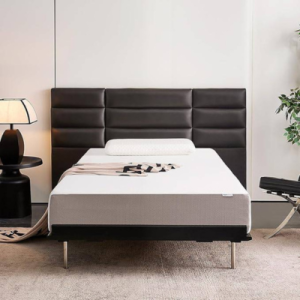 Basics Memory Foam Mattress, Medium Firm, 10 Inch, Twin, White/Grey