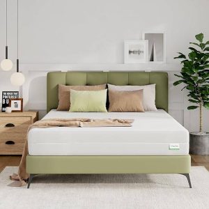 Novilla Queen Size Mattress, 8 Inch Foam Mattress in a Box
